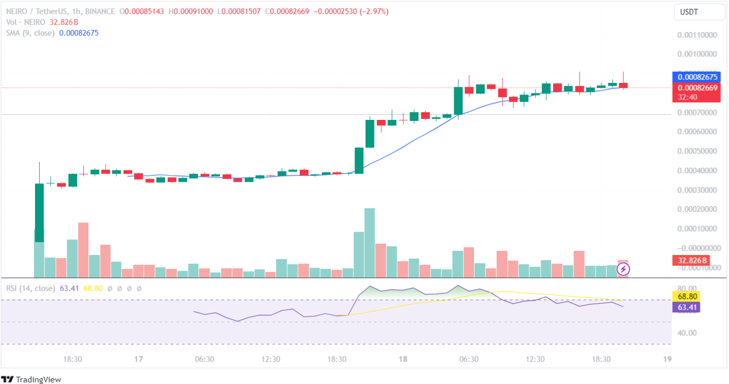 Análisis del precio de Neiro 18-9-24