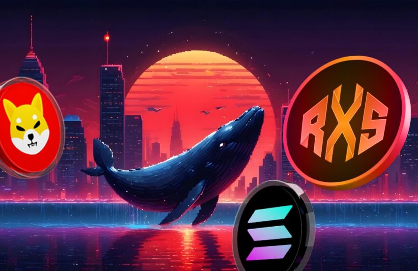 What Are Crypto Whales Up To? Why Big Players in the Market Are Focusing on Just 3 Altcoins Heading into October