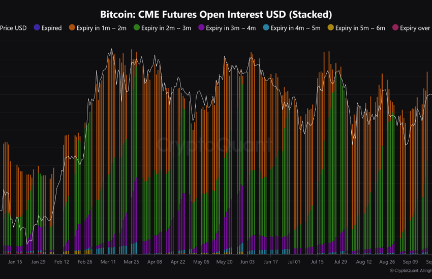 Bitcoin CME futures open interest.