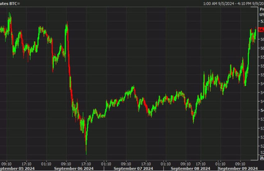 Bitcoin borra la caída del viernes con un aumento por encima de los 56.500 dólares