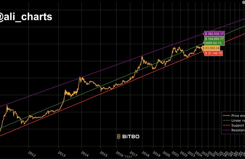 Bitcoin Long-Term Power Law