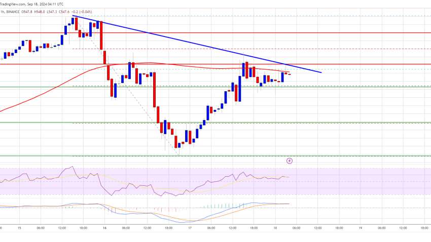 BNB Price