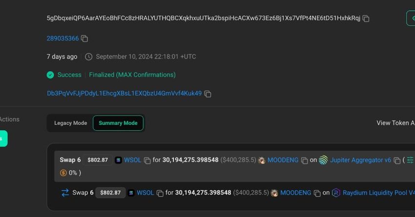 Meme coin trader buys $800 worth of MooDeng