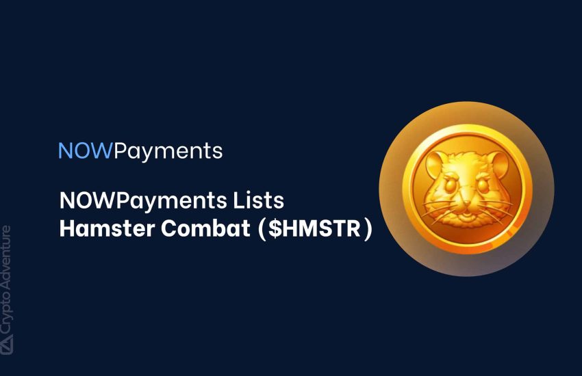 NOWPayments anuncia la inclusión de Hamster Combat ($HMSTR) en la cadena de bloques TON