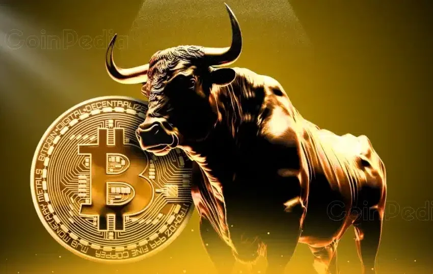 Bitcoin Bull Run 2024