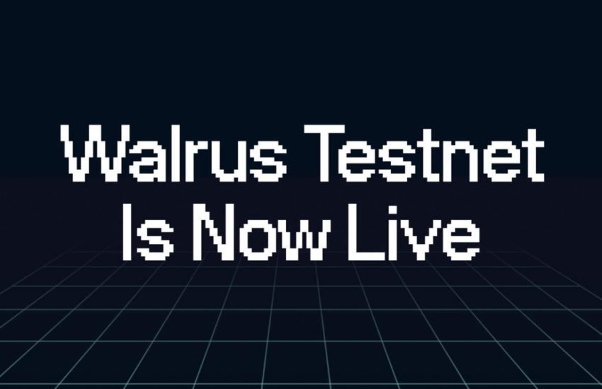 Walrus Testnet 1729144851krjDdejpZE