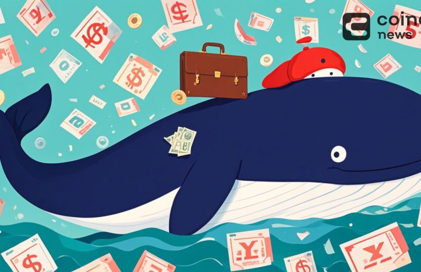 Polymarket Confirms Trump Whale FREDI9999 is French Trader