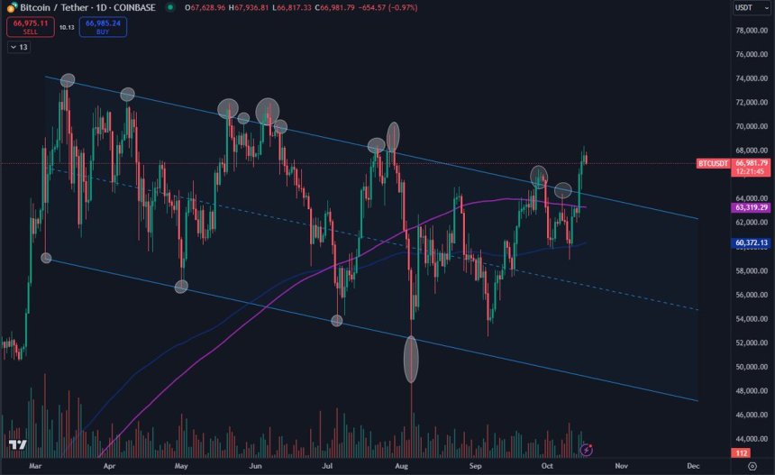 Bitcoin rompe el patrón de acumulación de 7 meses 