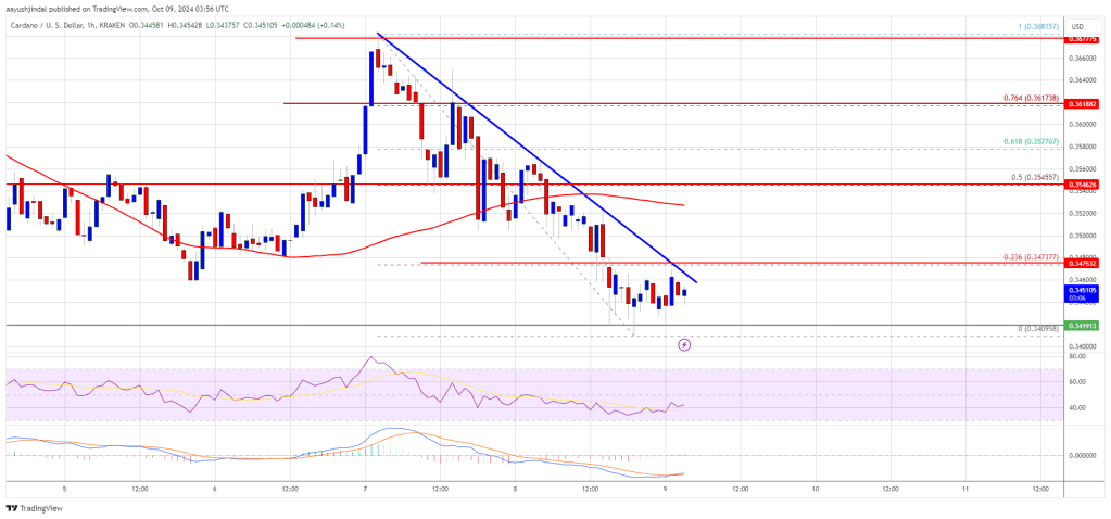 precio cardano