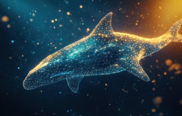 Cuidado con SOL Coin y estas 4 criptomonedas: las ballenas se están vendiendo