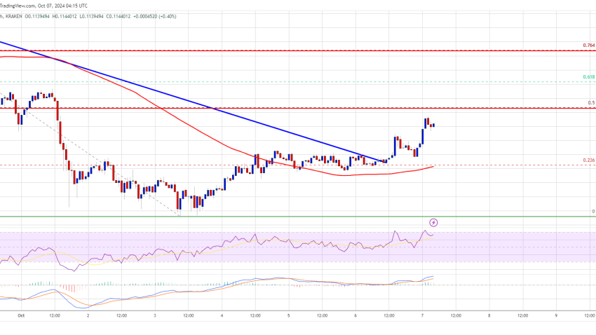 Dogecoin Price