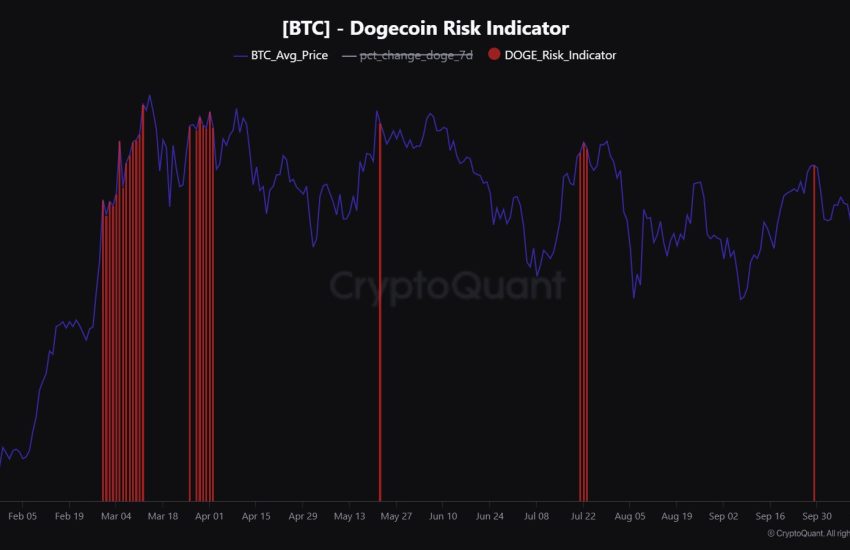 Dogecoin Risk Indicator