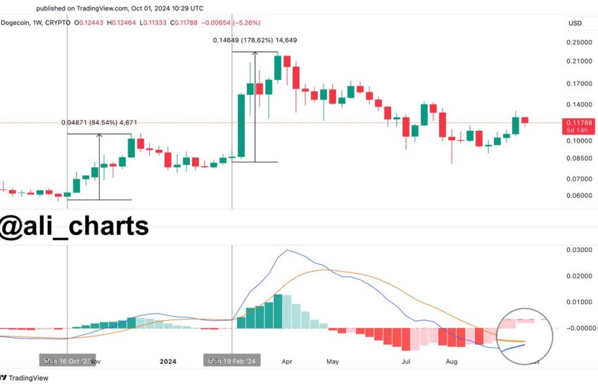 Dogecoin MACD