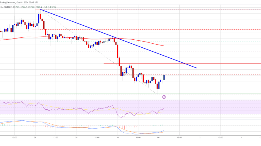 BNB Price