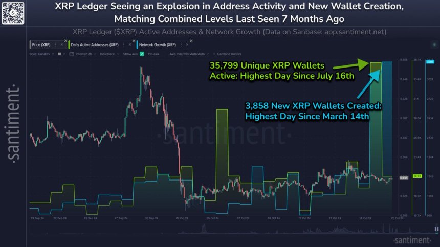 XRP Ledger ha aumentado en billeteras activas 