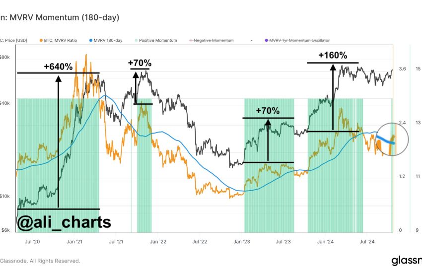 Bitcoin MVRV Momentum