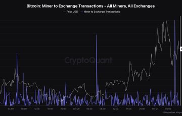 Bitcoin Miner to Exchange Transactions