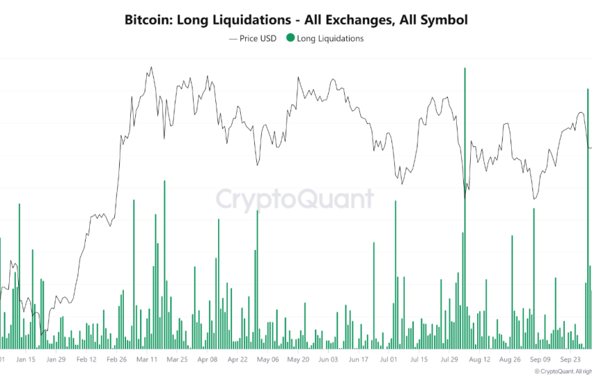 Bitcoin long liquidations from all exchanges.