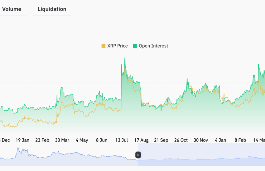 XRP OI