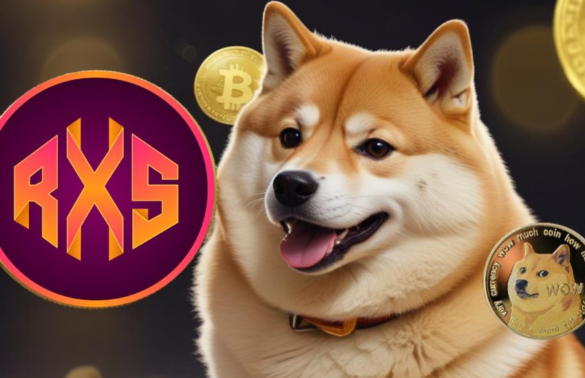 Dogecoin Investor Rakes in 166572% Profit After 10 Years, Trader Names 'Next DOGE' Token That Will Achieve Similar Gains, But By 2026