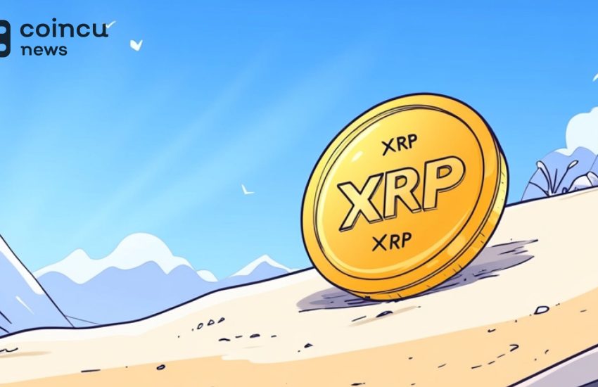 XRP Market Cap Now Surpassed BNB To Become The 5th Largest Coin