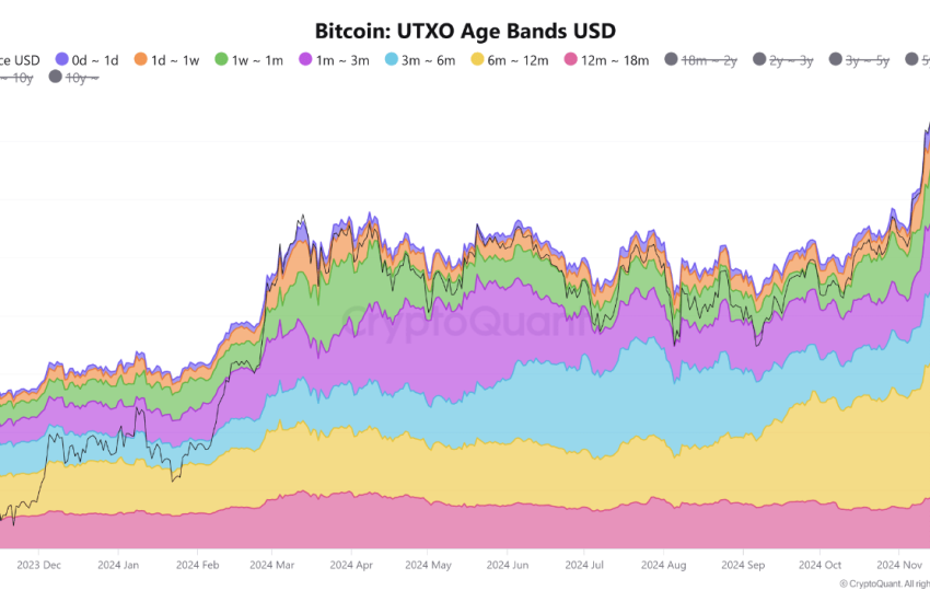 Bitcoin UTXO.