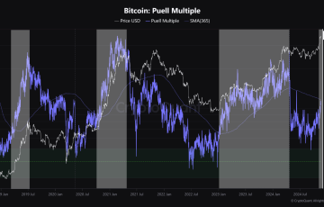 Bitcoin Puell Multiple