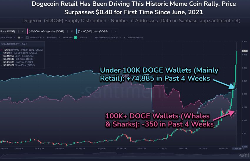 Dogecoin Supply Distribution