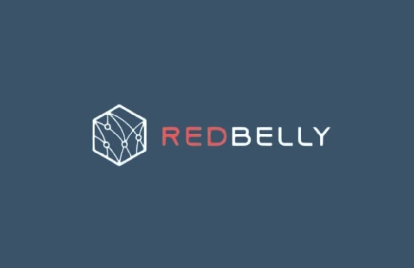 Guía de lanzamiento aéreo de tokens de Redbelly Network ($RBNT)