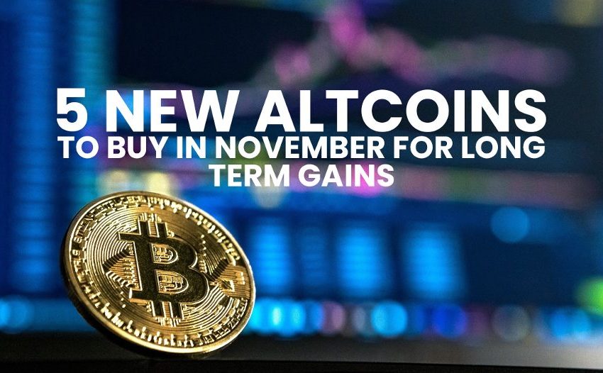 5 Best Cryptos to Invest in Right Now: November’s Top Performers