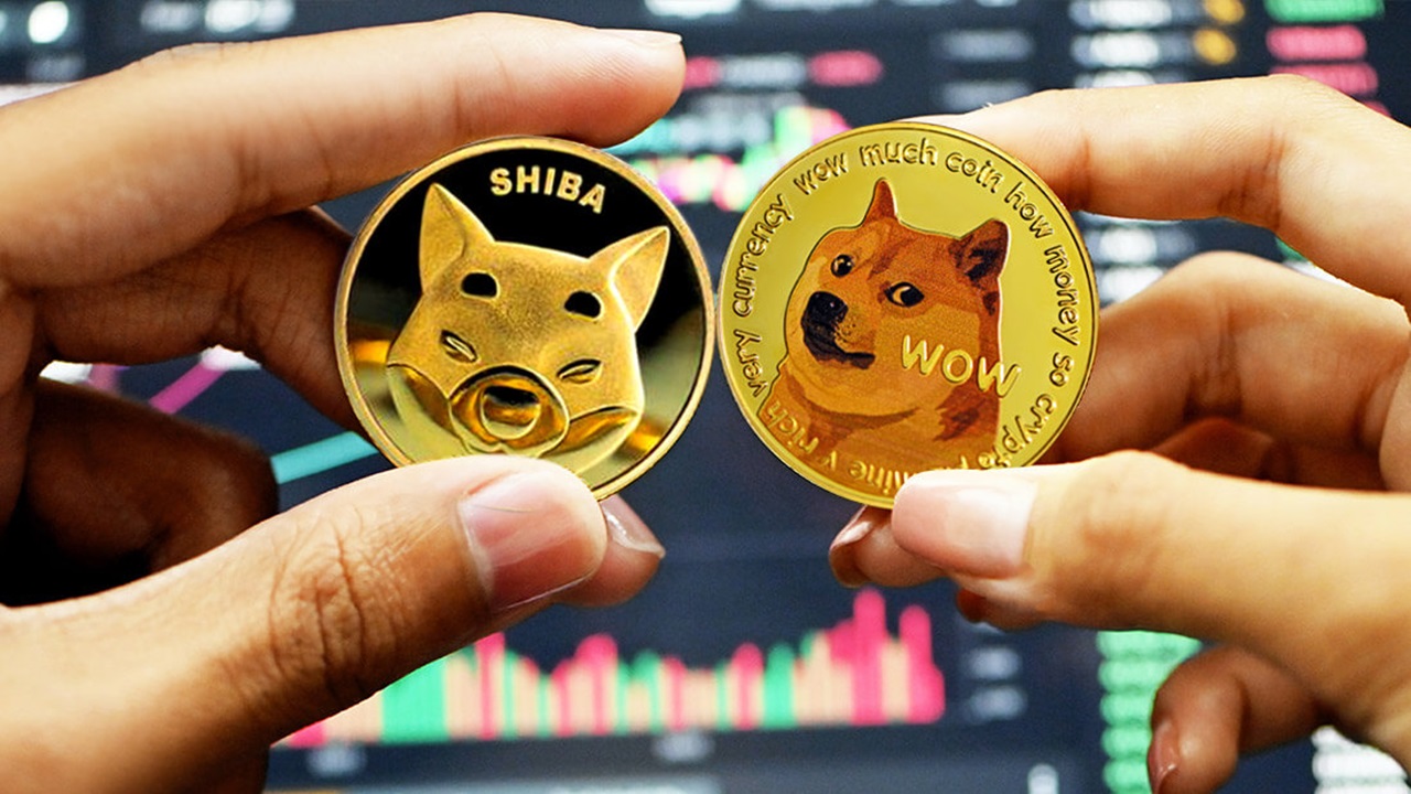 Atención inversores de SHIB y DOGE: ¡Se anuncian niveles de compra-venta!