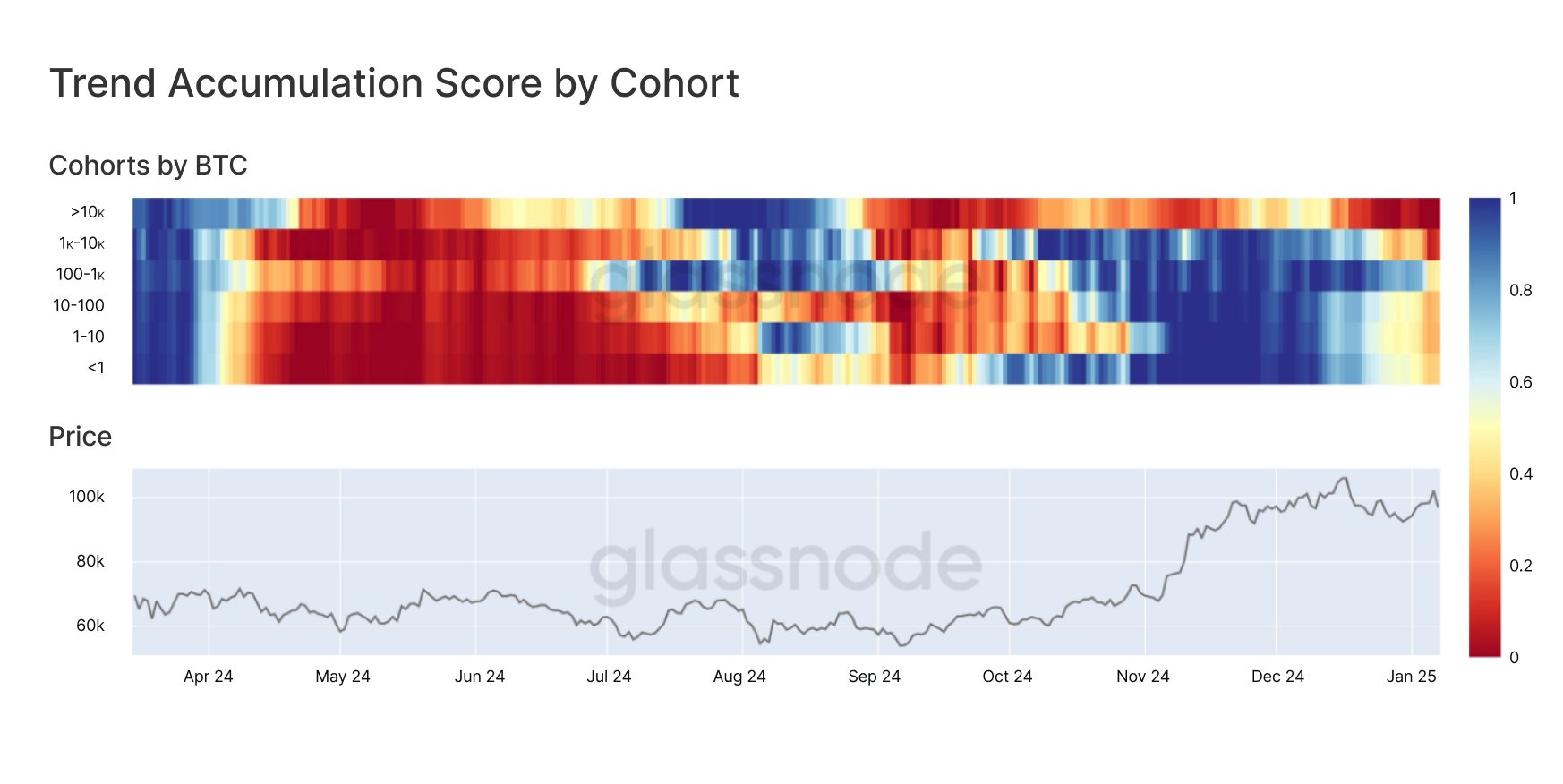 Cohortes de Bitcoin