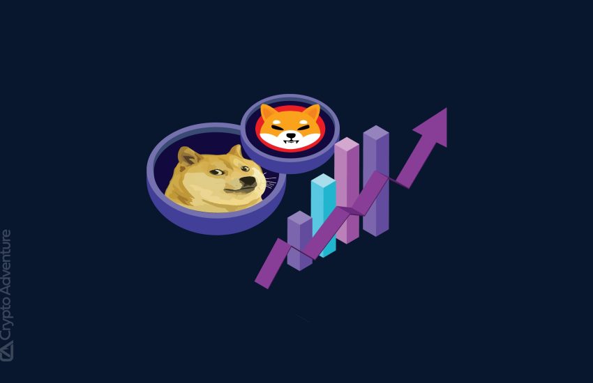 Esta criptomoneda está generando el mismo nivel de entusiasmo entre los inversores que Dogecoin y Shiba Inu en 2021.