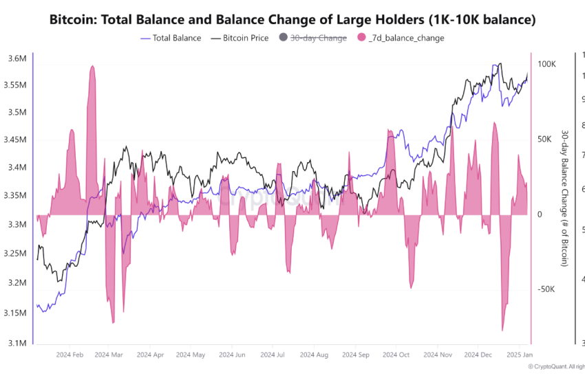 Bitcoin balance change of large holders.