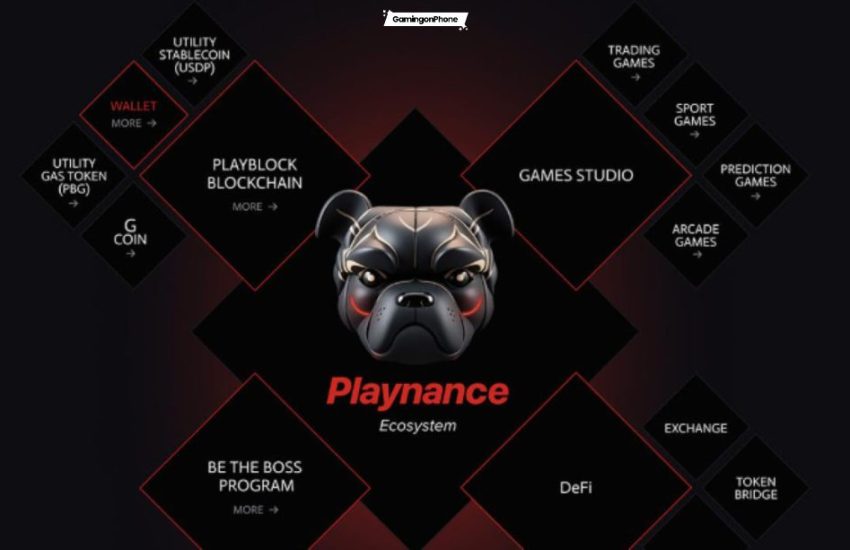 Playnance PlayW3 Launch Cover