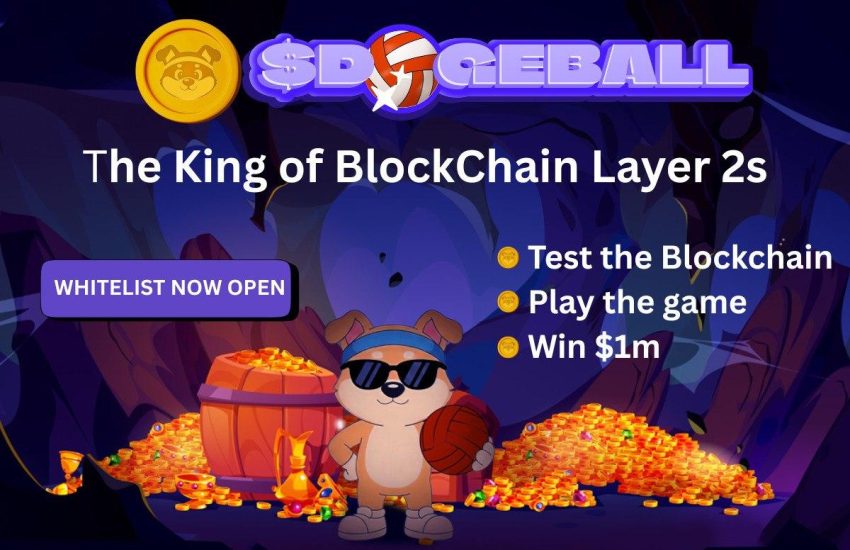 Lo que debe saber sobre la preventa de criptomonedas DOGEBALL antes de que se cierre la lista blanca