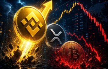 BNB se adelanta a XRP mientras Bitcoin cae por debajo de los $80,000