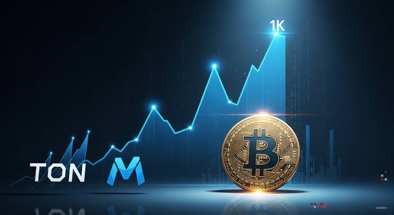 Bitcoin alcanza los $81,000 mientras TON y M saltan cada uno casi un 30%