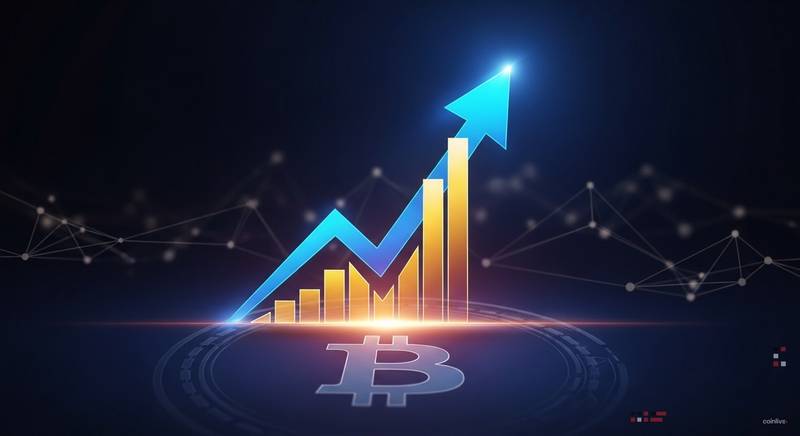 Bitcoin supera los $ 80,500 en un máximo de 3 meses a medida que aumentan las altcoins