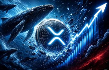 Desglose del precio de XRP a medida que las ballenas se acercan al 70% de la oferta